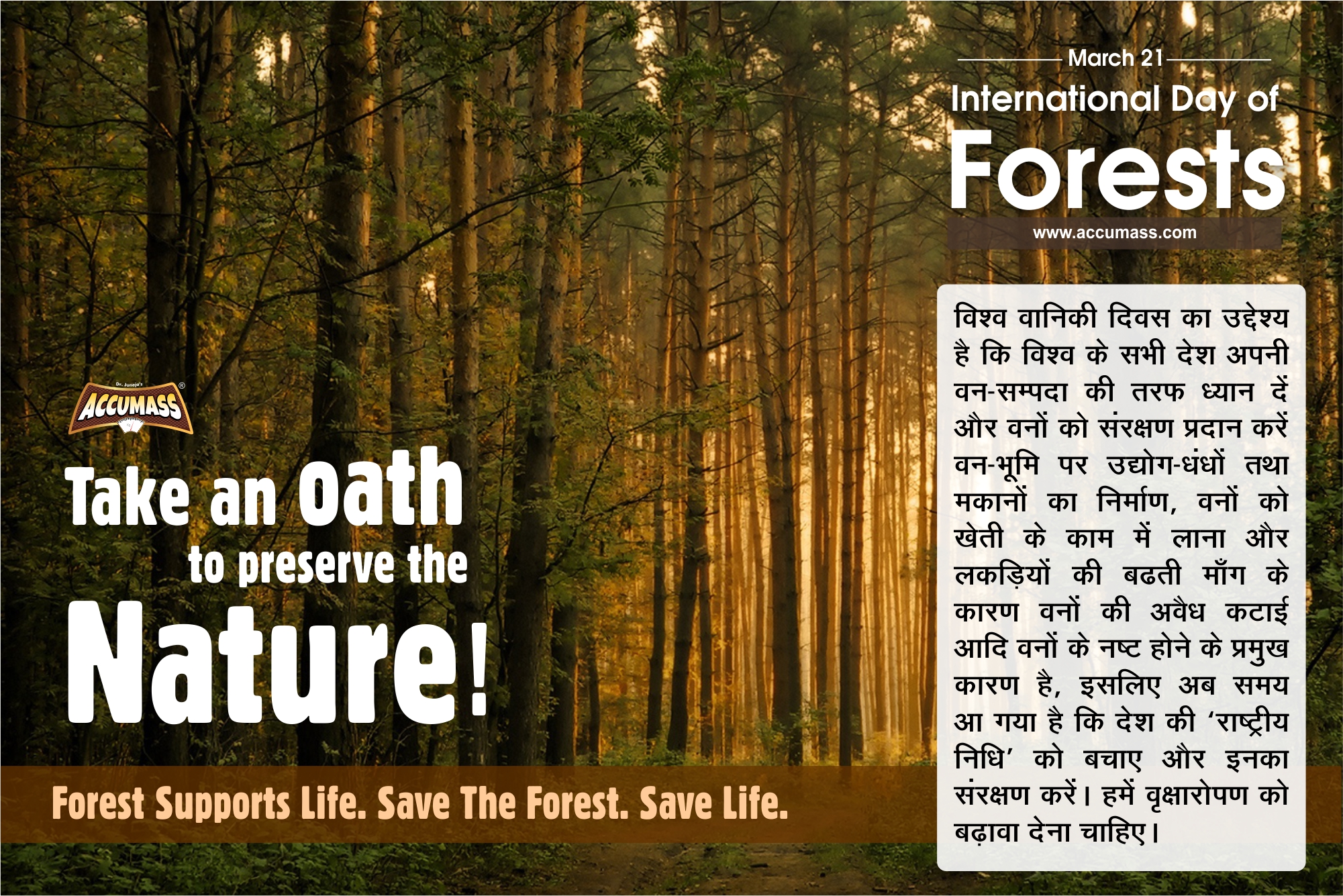 World Forestry Day, March Special, Special March Dates, International Days, Rememberable March, Whats Special In March 2018, Best Of March 2018, Special Quotes, Status, March 2018 Special (2)